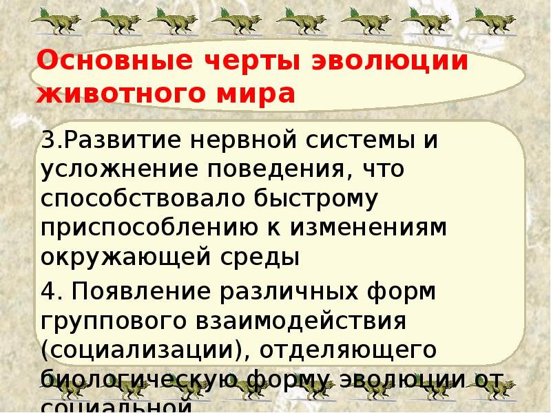 Основные черты эволюции  животного мира 3.Развитие нервной системы и усложнение