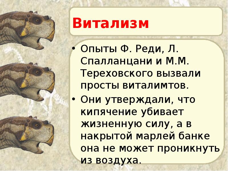 Витализм Опыты Ф. Реди, Л. Спалланцани и М.М. Тереховского вызвали просты
