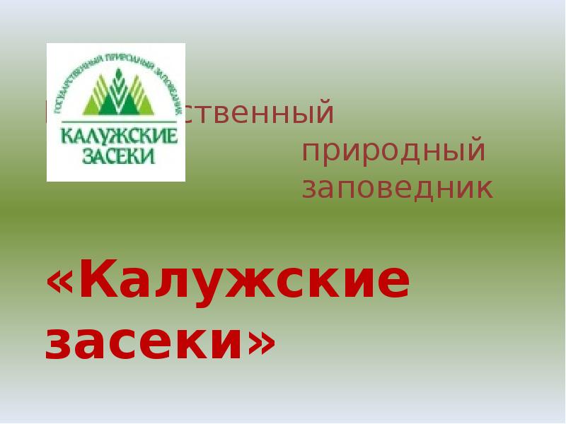 Калужские засеки на карте. Рисунки Калужские Засеки. Калужские Засеки заповедник на карте.