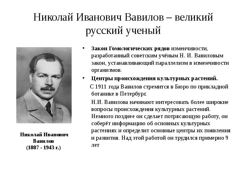 Презентация вавилов николай иванович вклад в науку