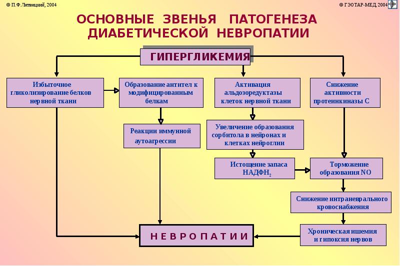 Нарушение углеводного обмена патофизиология презентация