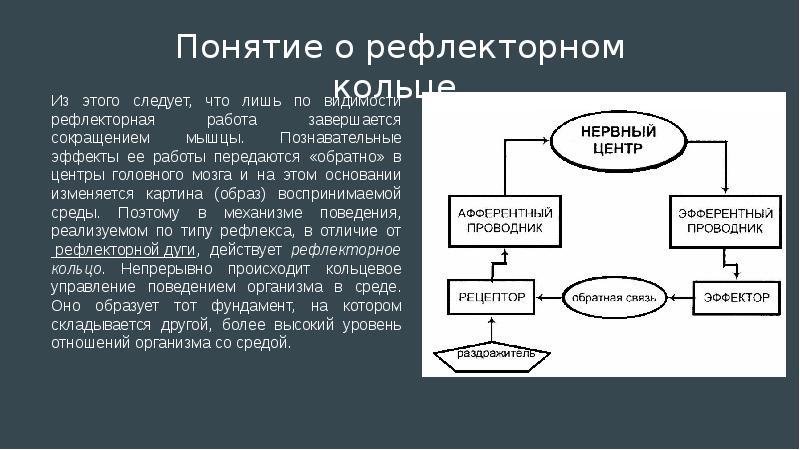 Схема рефлекторного кольца