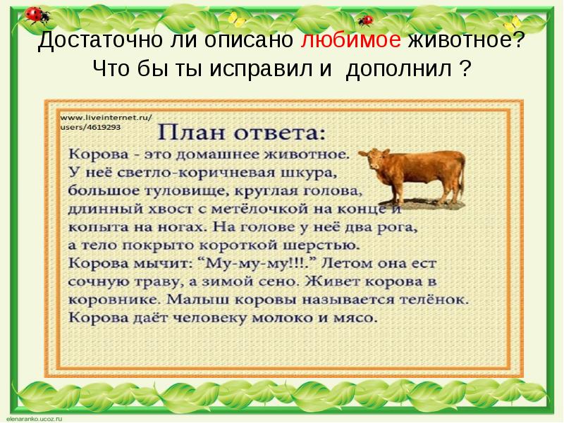 Сочинение 5 класс презентация