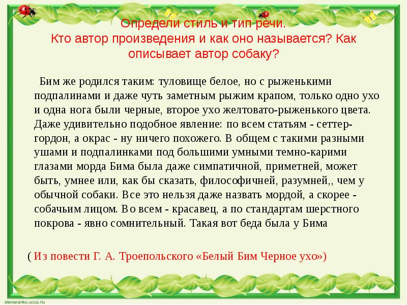 Сочинение про любимую собаку 5 класс. Сочинение моё любимое животное собака. Сочинение про собаку 5 класс. Сочинение про четвероногого друга. Сочинение мой Четвероногий друг.