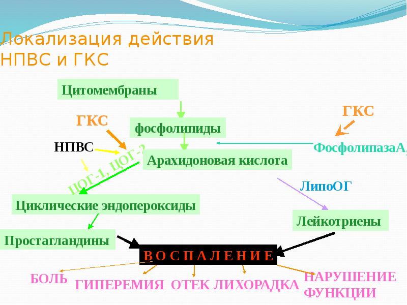 Нпвс презентация фармакология