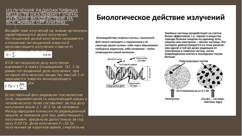 Проект влияние радиации на живые организмы