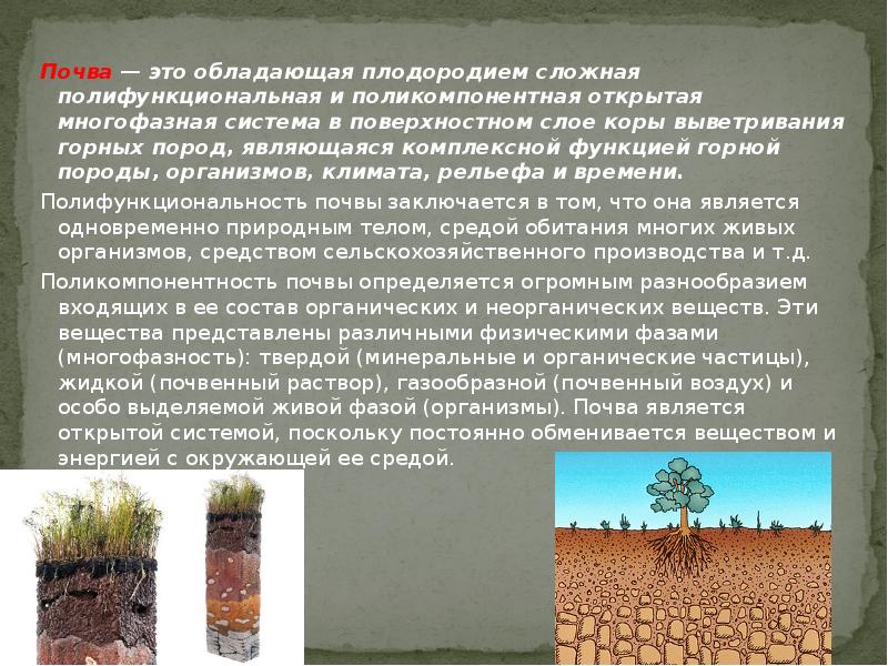 В чем состоит отличие почвы от горной. Почва это обладающая плодородием. Почва это в почвоведении. Почвоведеньt KF.jhfnjhyst HF,JNS. Объект изучения почвоведения.