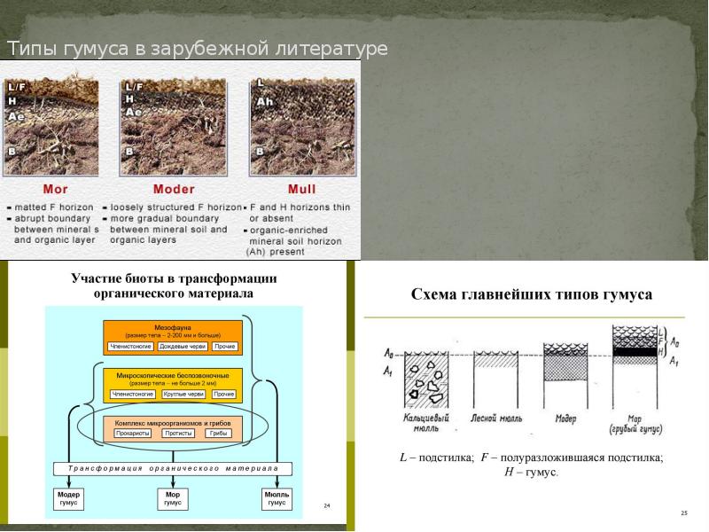 Курсовой проект по почвоведению