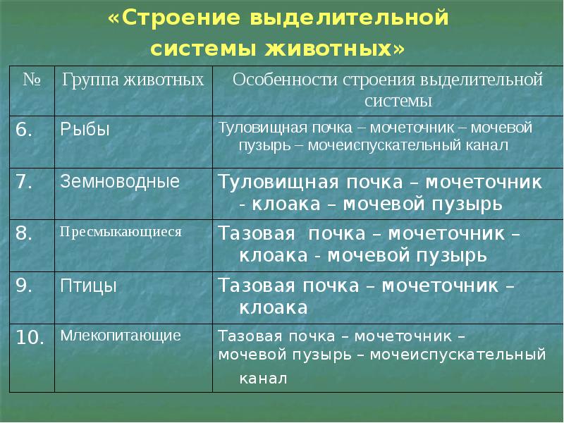 Выделительные ткани растений таблица