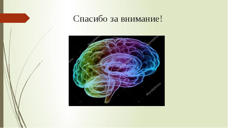 Презентация на тему память по анатомии