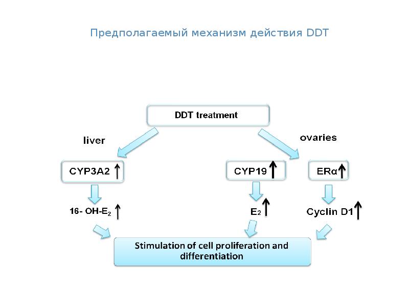 Механизм предполагает. Механизм действия ДДТ. Динамотерапия механизм действия. Механизм лечебного действия ДДТ. Гормональный канцерогенез.