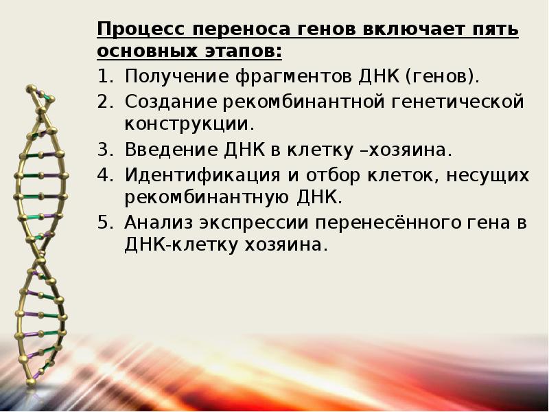 Перенос генов. Способы переноса ДНК В клетки. Методы переноса ДНК В клетку. Методы переноса генов. Методы прямого переноса генов в клетку.