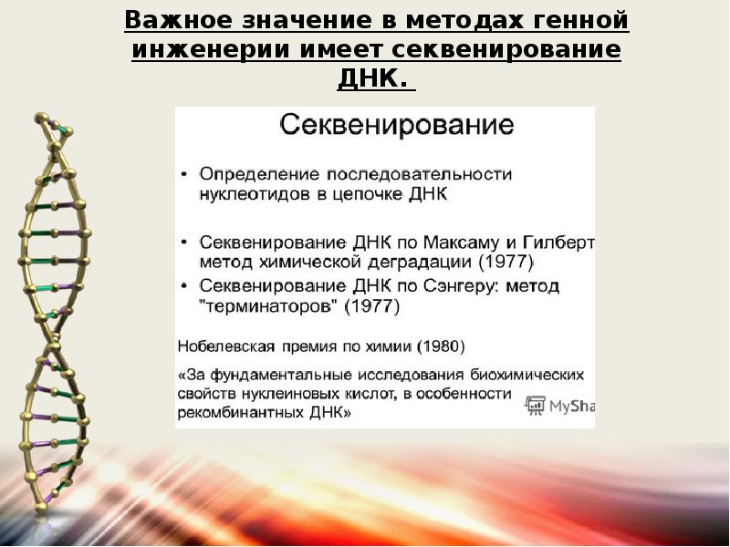 Исследование днк человека надежды и опасения презентация