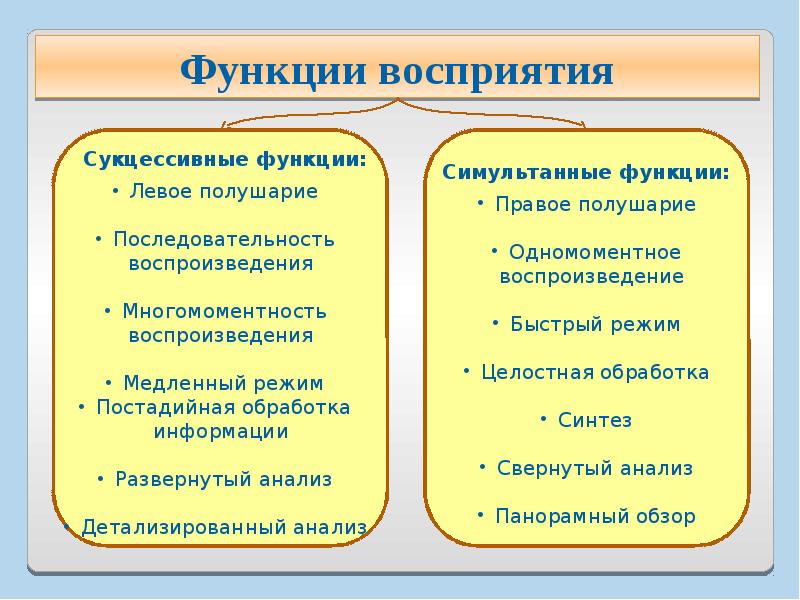 Функции восприятия. Сукцессивные и симультанные процессы. Сукцессивное восприятие это. Сукцессивность и Симультанность восприятия. Сукцессивные операции.