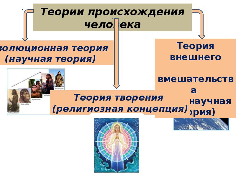 Презентация происхождение человека 9 класс