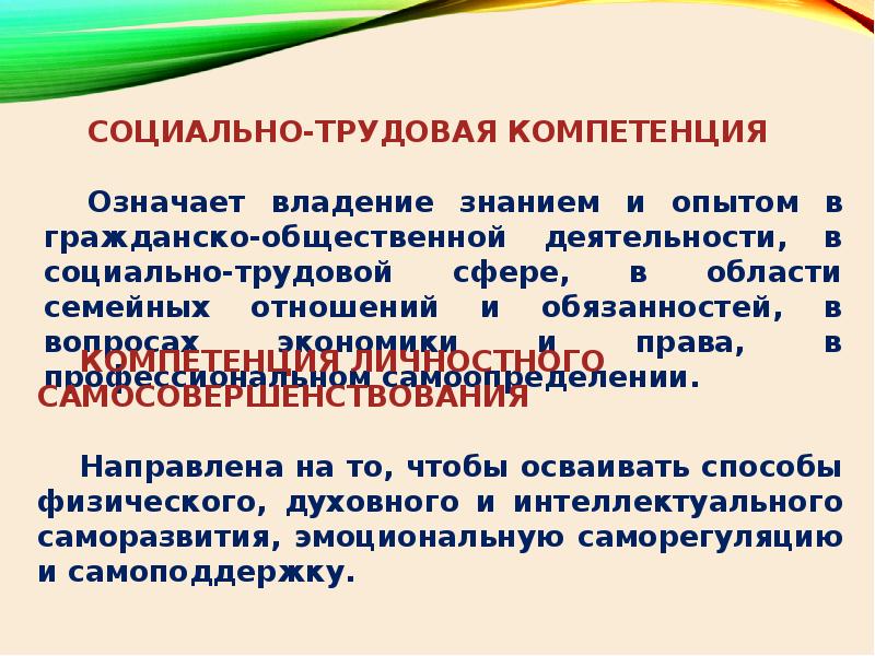 Социально трудовая компетенция. Профессиональная компетентность синонимы.