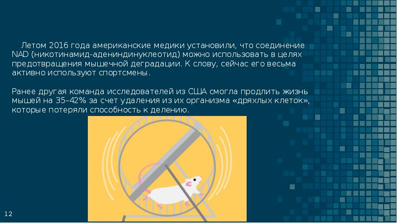 Проект на тему старение человека и возможность бессмертия