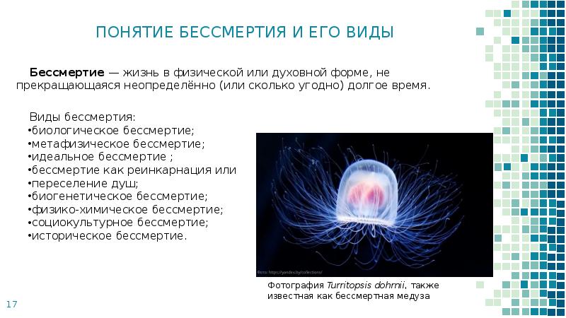 Теория квантового бессмертия проект