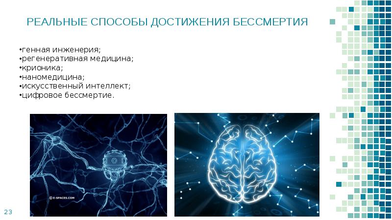 Проект на тему старение человека и возможность бессмертия