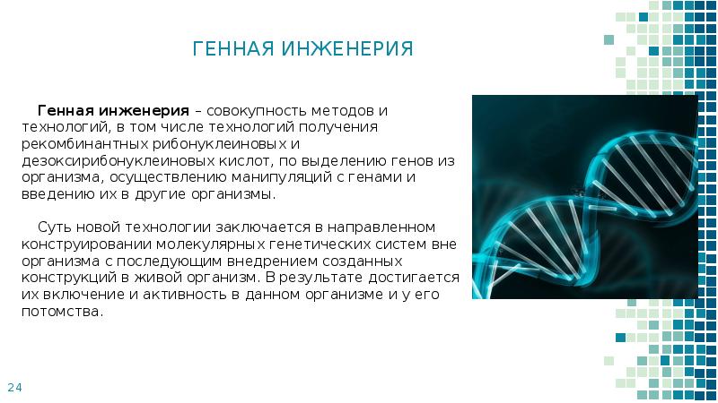 Проект на тему старение человека и возможность бессмертия