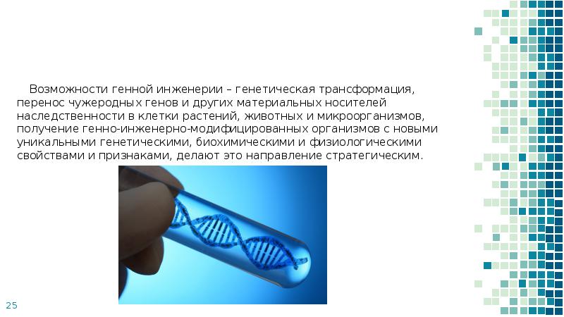 Проект на тему старение человека и возможность бессмертия