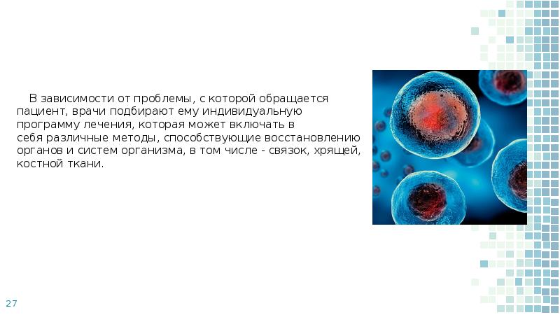 Старение человека и возможность бессмертия проект по биологии