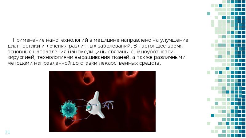 Проект на тему старение человека и возможность бессмертия