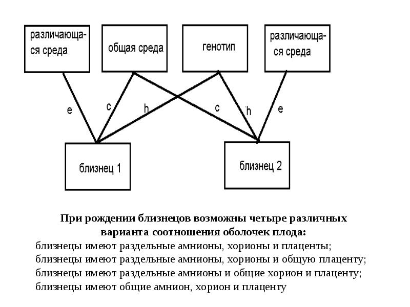 Как нарисовать близнецов