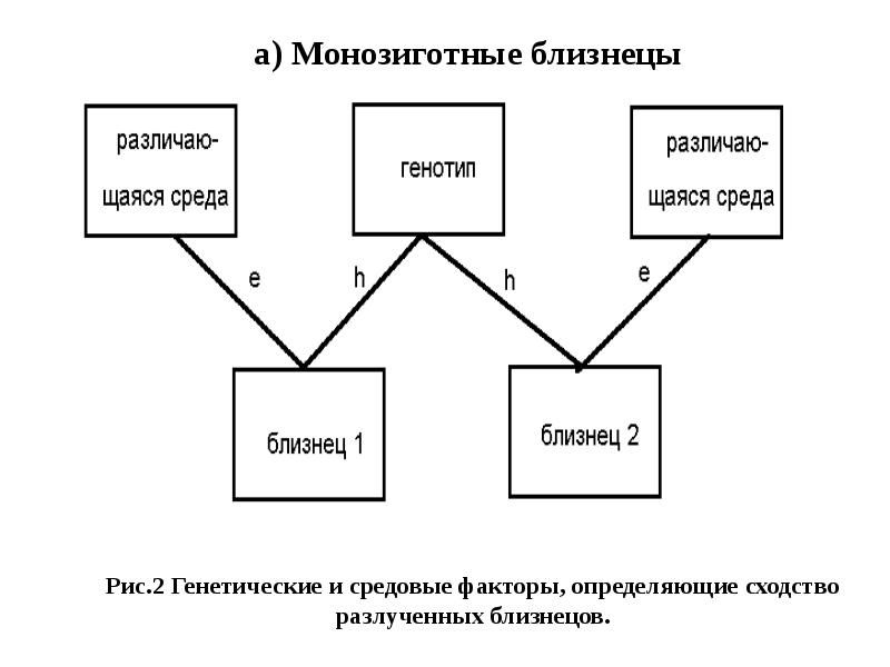 Психология близнецов презентация