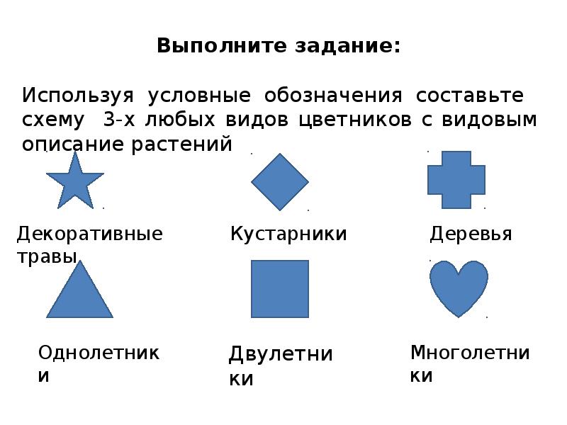 Что обозначает составить. Условные обозначения многолетников. Условные обозначения многолетних растений. Условные обозначения цветник. Цветы многолетние условные обозначения.