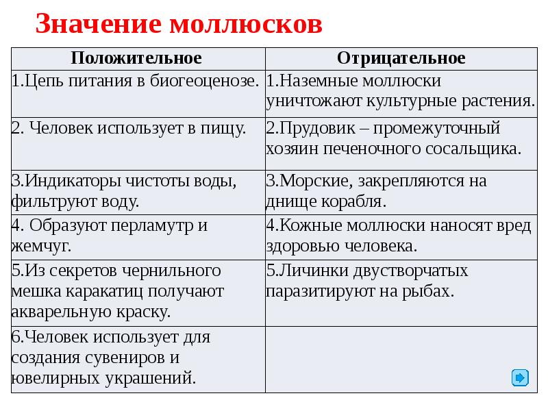 Значение моллюсков. Положительное и отрицательное значение моллюсков. Значение ракообразных в природе. Значение ракообразных для человека положительное и отрицательное.