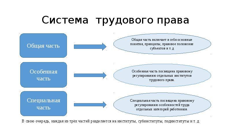 Трудовое законодательство находится в ведении. Структура трудового права схема. Общая часть системы трудового права. Особенная часть системы трудового права. Система трудового права общая часть и особенная часть.