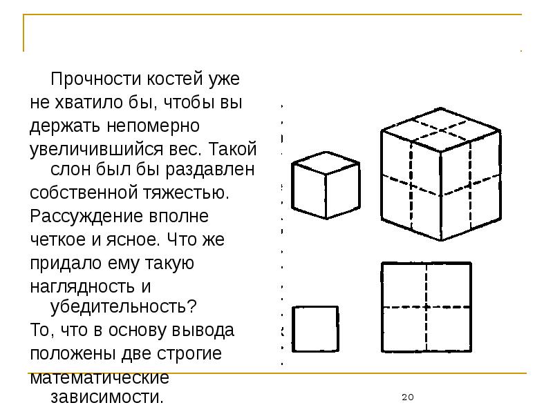 Прочность кости. Прочность кубиков. Непомерно обезаны сзади, впереди непомерно длинны.