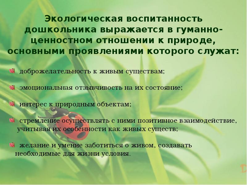 Формирование у детей дошкольного возраста ценностного отношения к родной природе проект