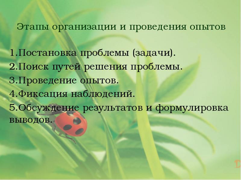 Эколого экспериментальные проекты как средство экологического воспитания