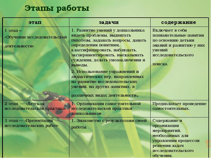 Эколого экспериментальные проекты как средство экологического воспитания