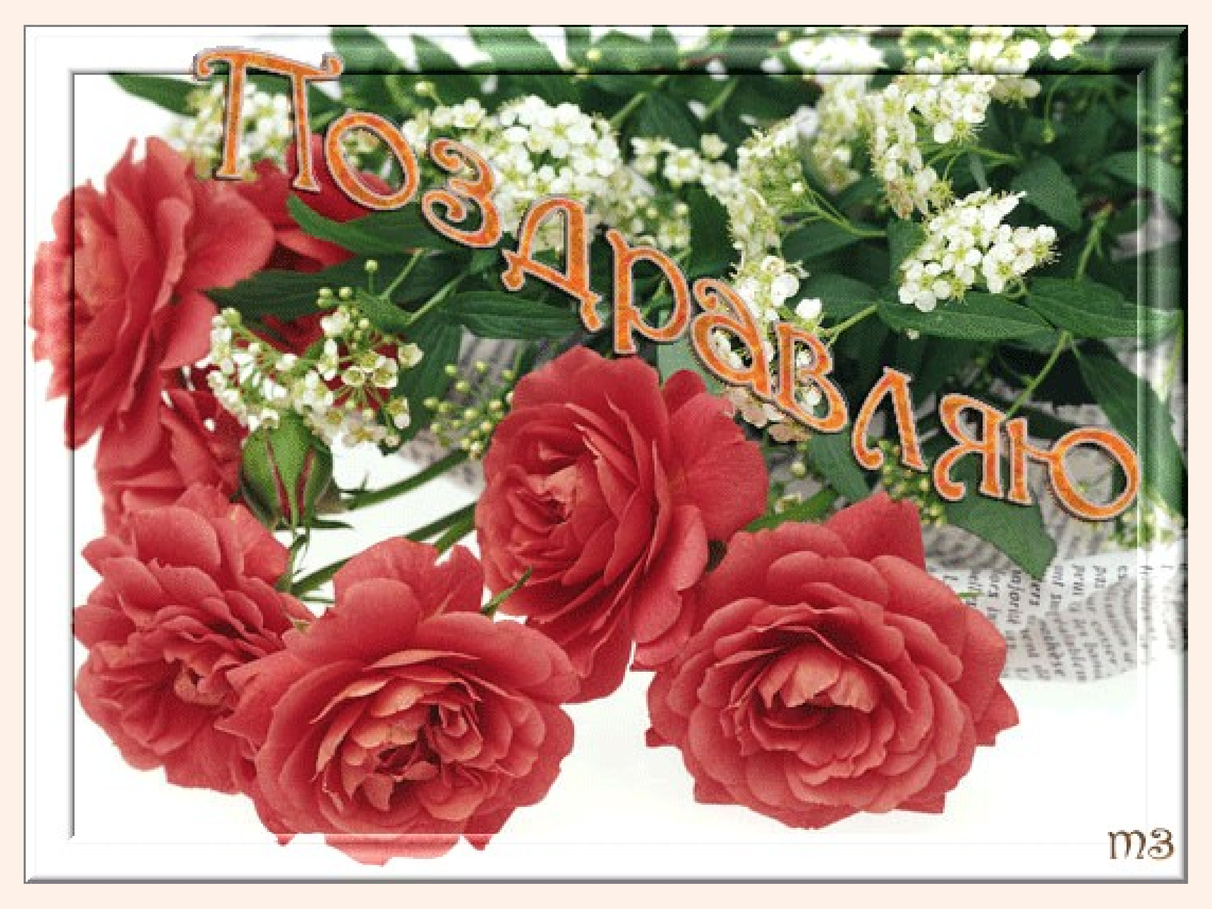Красивые открытки поздравляем с цветами. Добрые пожелания. Цветы с пожеланиями. Красивые поздравления с прекрасным днем .. Открытки.