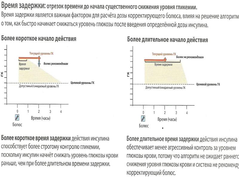 Базис болюсная схема