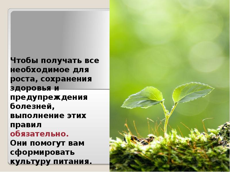 Чтобы получать все необходимое для роста, сохранения здоровья и предупреждения болезней, Чтобы получать все необходимое для роста, сохранения здоровья и предупреждения болезней,