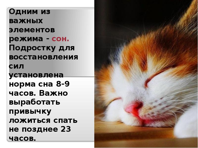 Одним из важных элементов режима - сон. Подростку для восстановления Одним из важных элементов режима - сон. Подростку для восстановления