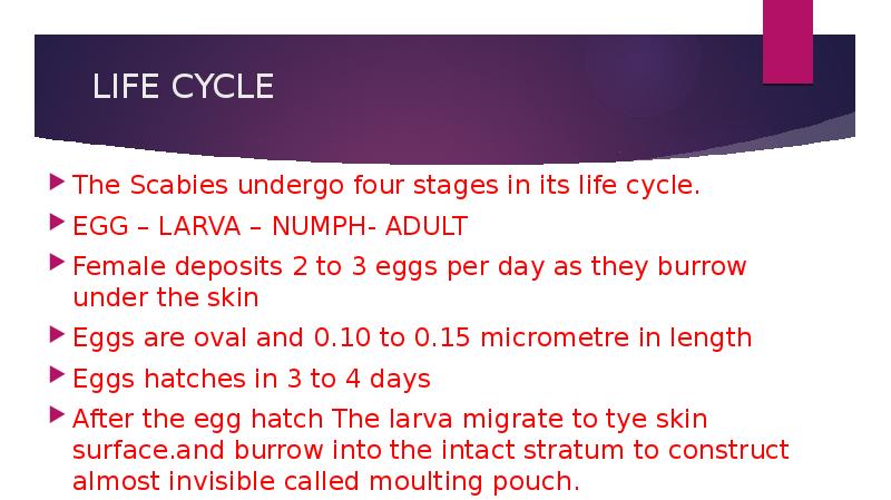 Mite Agent Scabies