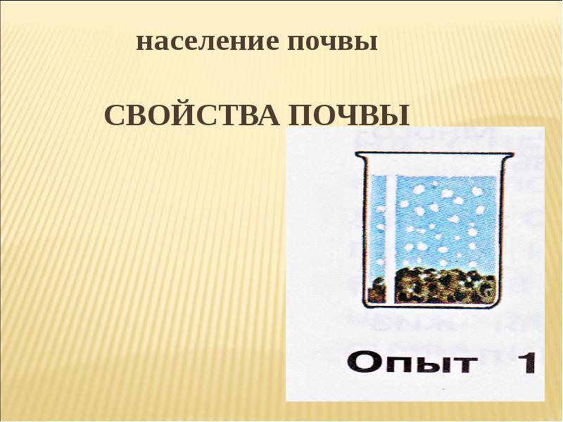 Население почвы. Микробное население почвы. Почву населяют. Животное население почвы. Свойства почвы Карелии.