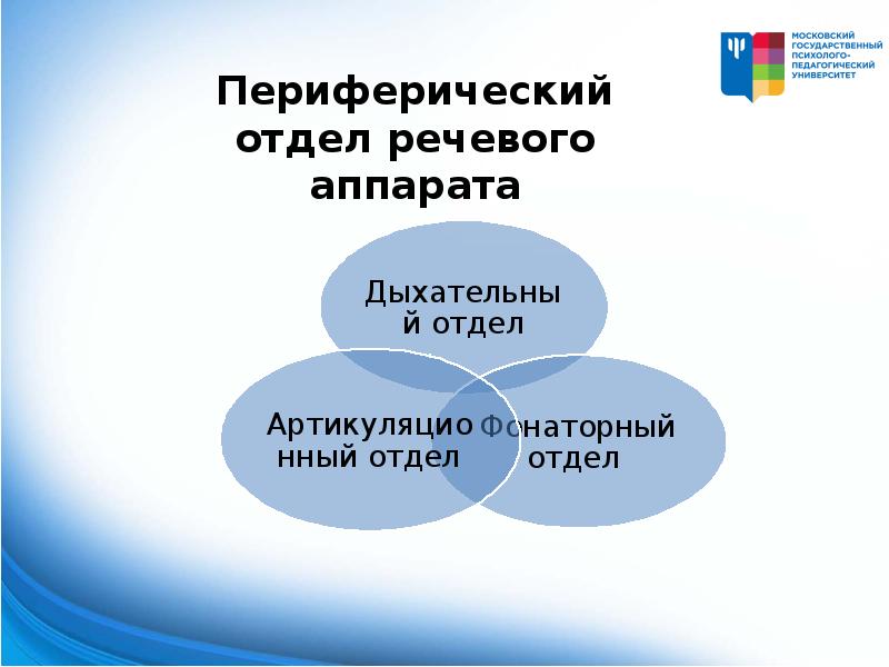 Презентация введение в логопедию