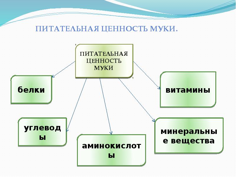 Белки и их питательная ценность проект