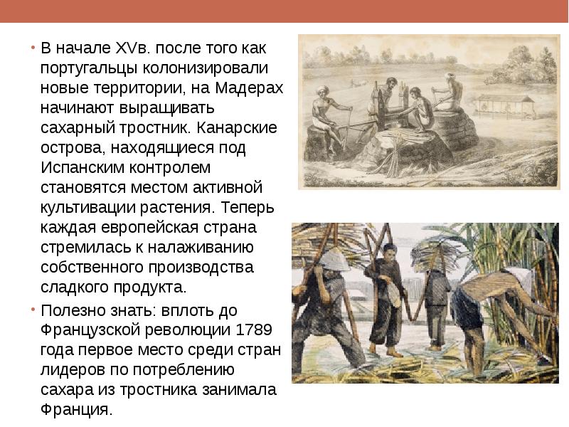 В начале XVв. после того как португальцы колонизировали новые территории, на