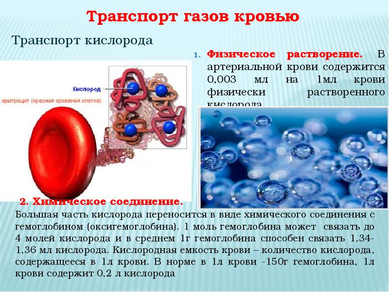 Лекция на тему: «Физиология дыхания. Ф.С. газового состава крови."