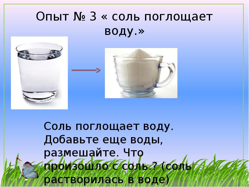 Соль впитывает влагу. Проект эта удивительная соль. Что хорошо впитывает воду. Соль поглощает красители.