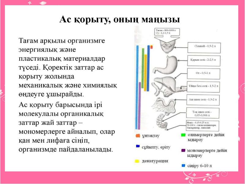 Ас қорыту жүйесінің жас ерекшеліктері презентация