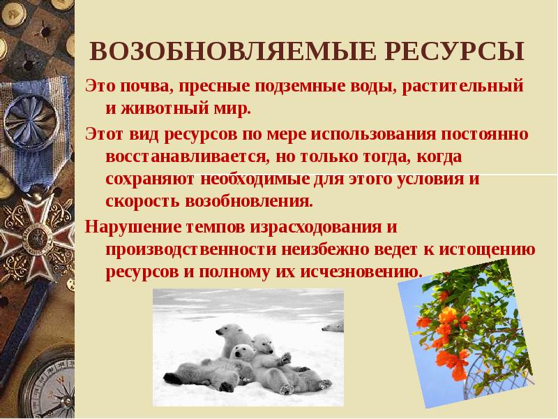 Возобновляемые ресурсы это в проекте