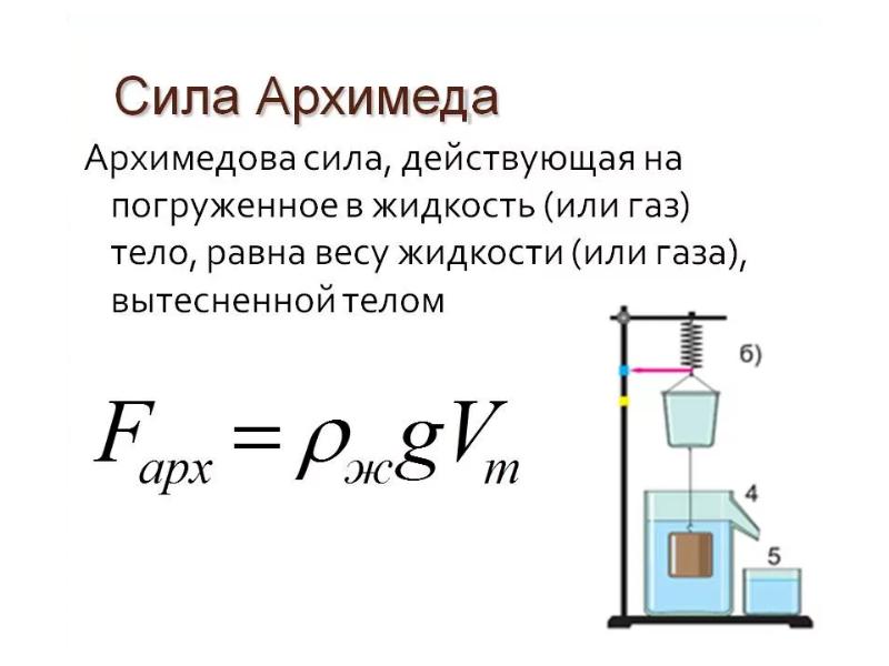 Архимедова сила и человек на воде проект по физике